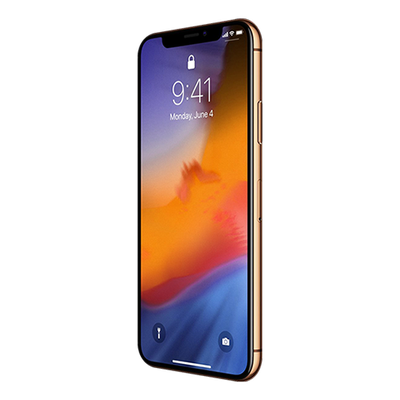 Apple iPhone XS Max 256GB I Chính hãng VN/A-9