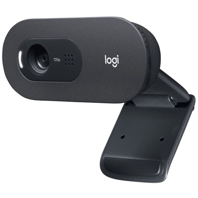 Webcam Logitech C505 HD 720P-2